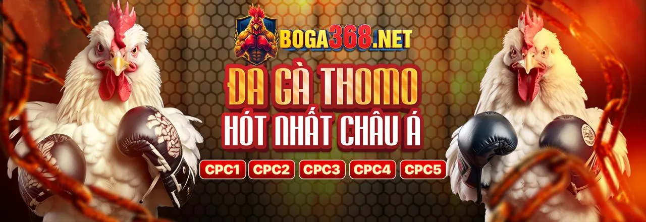 Hình ảnh tổng quan về Điều Khoản Dịch Vụ của like88 casino